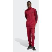 Adidas Sportswear Basic 3-Stripes Tricot Track Suit