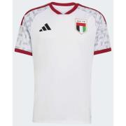 Adidas United Arab Emirates 26 Home Jersey