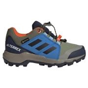Adidas Terrex GORE-TEX Hiking Shoes