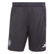 Manchester United Treningsshorts Tiro 25 - Aurora Svart/Lilla