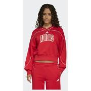 Adidas STADIUM SWEATSHIRT