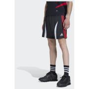 Adidas Originals Teamgeist Adicolor Shorts
