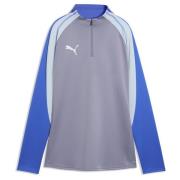 individualBLAZE 1/4 Zip-Top Gray Sky-PUMA White-Royal Sapphire