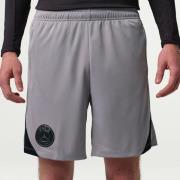 Paris Saint Germain Treningsshorts Dri-FIT Strike Jordan x PSG Night E...