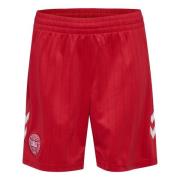 Danmark Borteshorts 2026/27 Barn