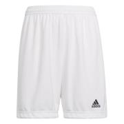 adidas Shorts Entrada 22 - Hvit Barn