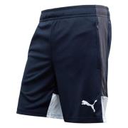 PUMA Treningsshorts individualLIGA - Strong Gray/Isblå